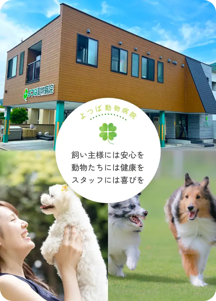 よつば動物病院 飼い主様には安心を動物たちには健康をスタッフには喜びを
